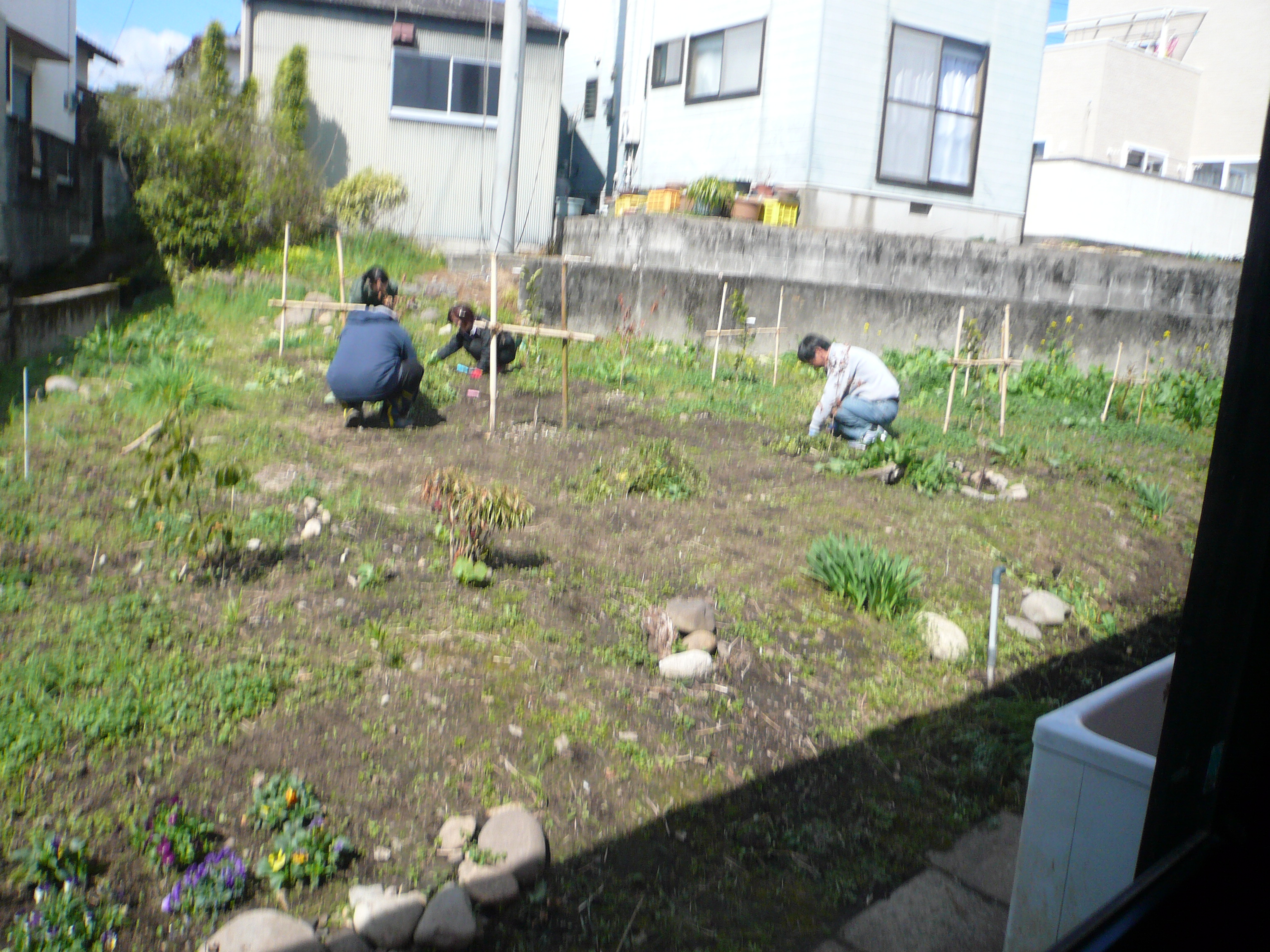 草取りから