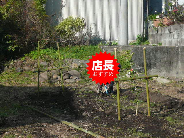 デイサービス